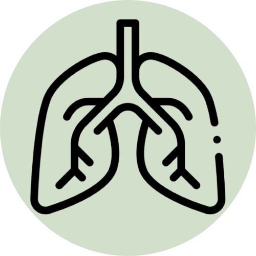 Icon of a lung on green background