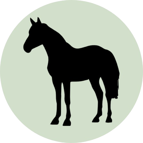 Icon eines Pferdes vor grünem Hintergrund