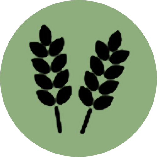 Icon of grain ears on green background